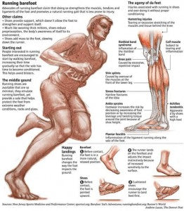 Preventing Stress Fractures